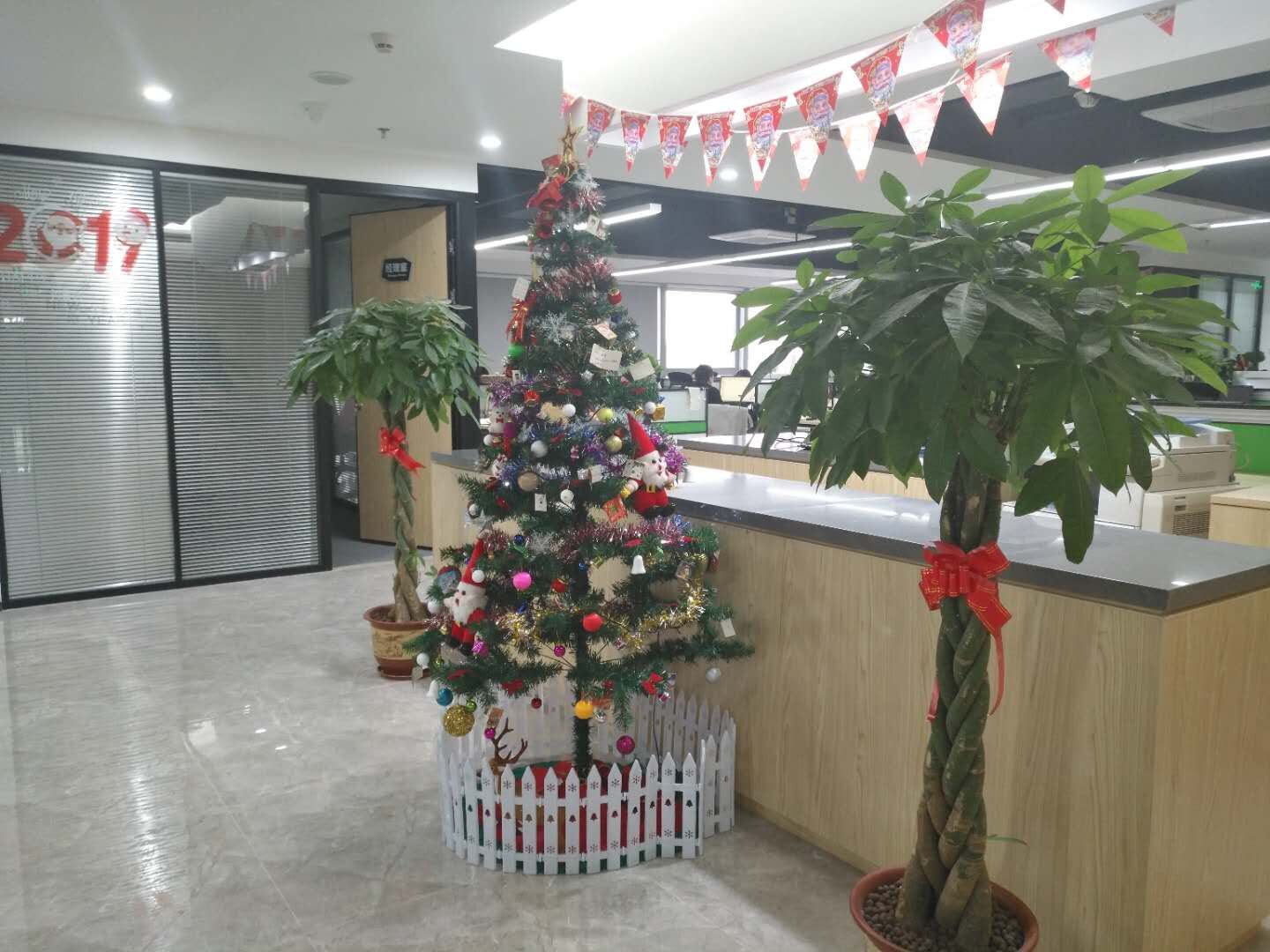 Sunny Group office with Christmas decoration