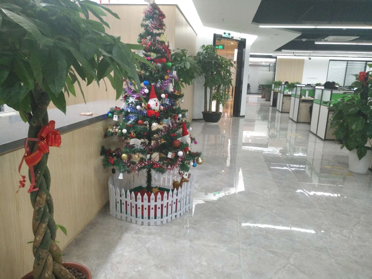 Sunny Group office with Christmas decoration
